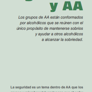TRÍPTICO SOBRE LA SEGURIDAD Y AA